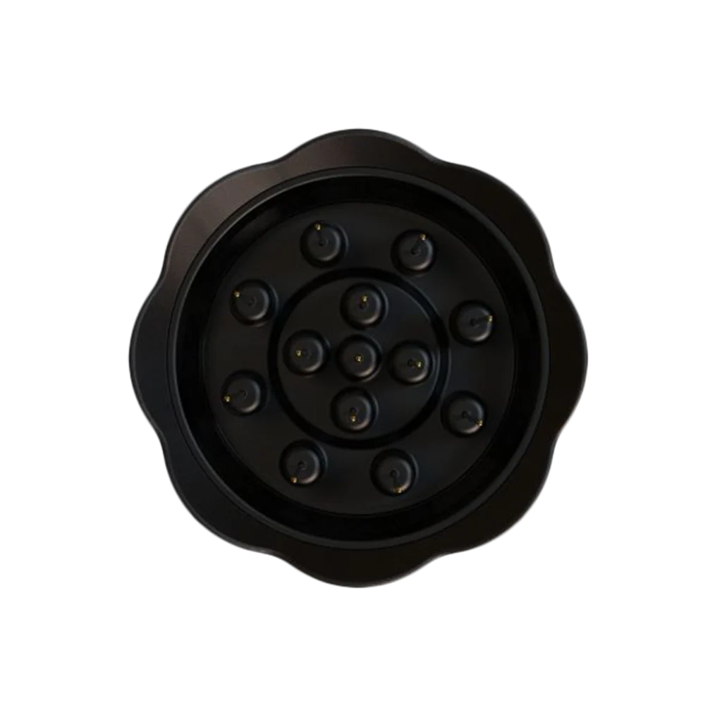 Nucleus Bloom - Image 6